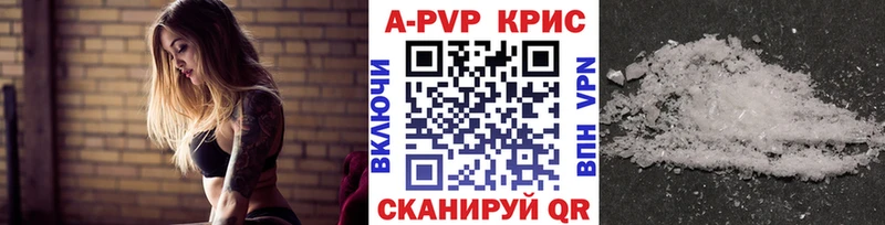 закладки  Княгинино  Alfa_PVP СК 