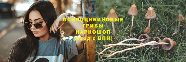 меф Козельск