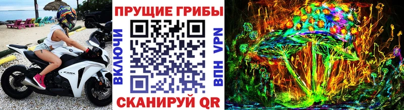 Галлюциногенные грибы Psilocybe  дарнет шоп  ОМГ ОМГ сайт  Княгинино 